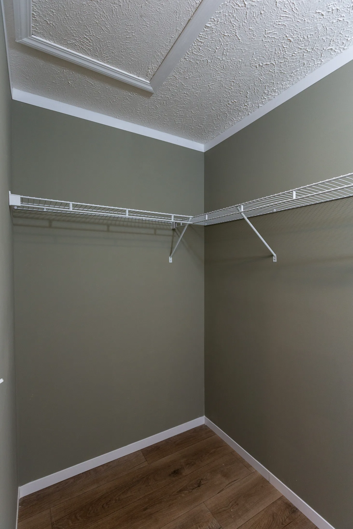Walk-in-closet with green walls